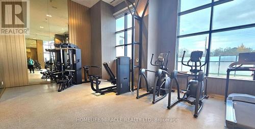 331 - 395 Dundas Street W, Oakville, ON - Indoor Photo Showing Gym Room