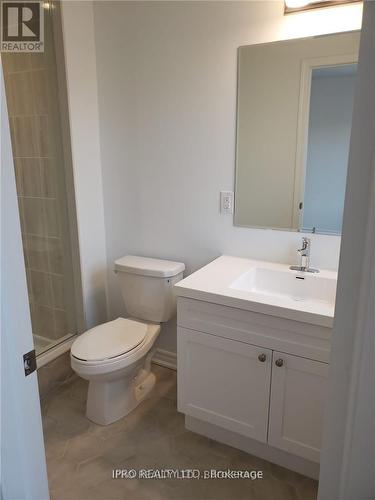 1263 Hop Place, Milton, ON - Indoor Photo Showing Bathroom