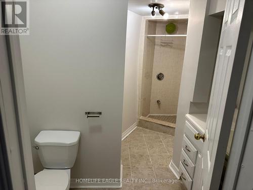 20 Mandel Crescent, Richmond Hill, ON - Indoor Photo Showing Bathroom