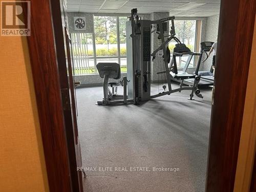 209 - 28 Pemberton Avenue, Toronto, ON - Indoor Photo Showing Gym Room