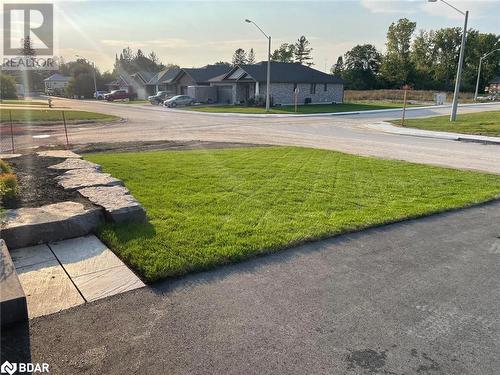 View of yard - 25 Aberdeen Street, Stirling, ON - Outdoor