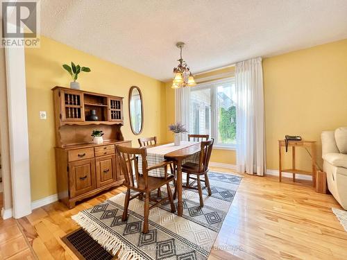 3 Alnet Drive, Belleville, ON - Indoor Photo Showing Dining Room