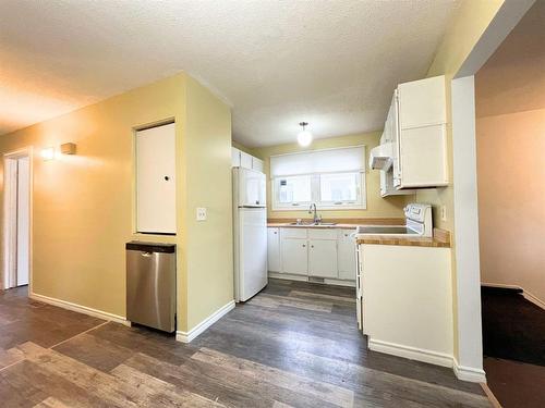 205 Paddington Road, Winnipeg, MB - Indoor Photo Showing Kitchen With Double Sink