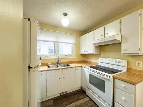 205 Paddington Road, Winnipeg, MB - Indoor Photo Showing Kitchen With Double Sink