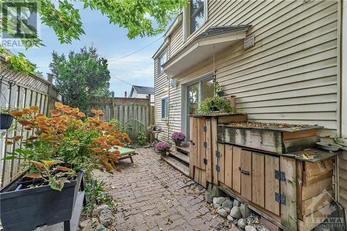 13 Louisa Street, Ottawa, ON - Outdoor