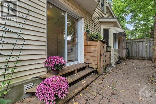 13 Louisa Street, Ottawa, ON - Outdoor