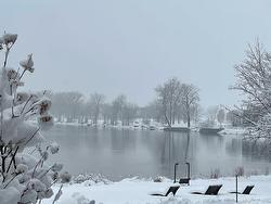 Vue sur l'eau - 