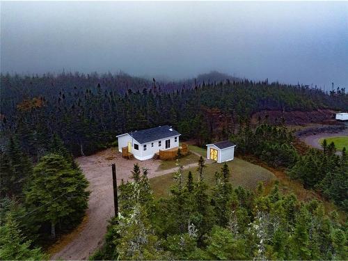 14 Ryans Pond East, Brigus Junction, NL 