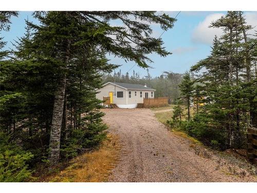 14 Ryans Pond East, Brigus Junction, NL 