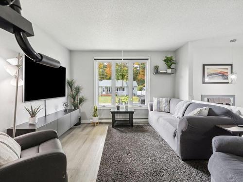 Living room - 49 Rue Walker, Gatineau (Buckingham), QC - Indoor Photo Showing Living Room