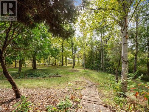 13397 Centreville Creek Road, Caledon, ON - Outdoor With View