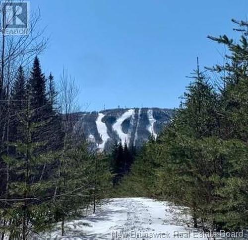 40 Skiers Lane, Crabbe Mountain, NB - Outdoor With View