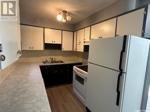 1021 Bison Avenue, Weyburn, SK - Indoor Photo Showing Kitchen With Double Sink