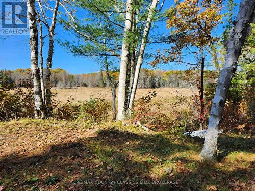 1116 Greer Road, North Frontenac (Frontenac North), ON - Outdoor With View