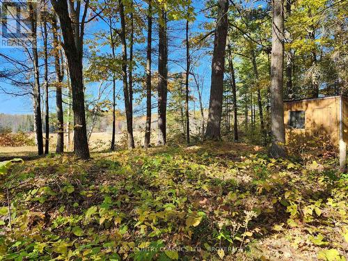 1116 Greer Road, North Frontenac (Frontenac North), ON - Outdoor With View