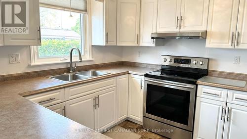 13 Pullen Avenue, St. Thomas, ON - Indoor Photo Showing Kitchen With Double Sink