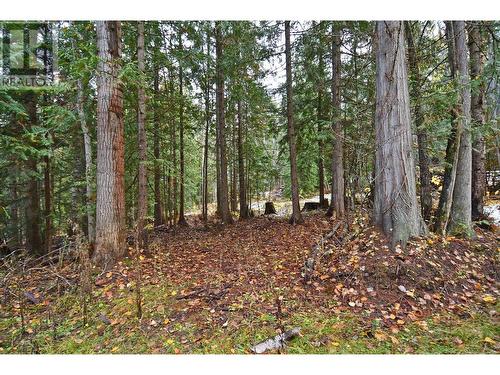 Lot 3 Bedford Road Lot# Lot 3, Nelson, BC 