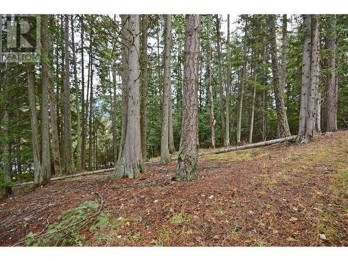 Lot 1 Bedford Road, Nelson, BC 