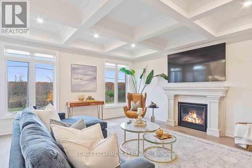 221 Agro Street, Hamilton, ON - Indoor Photo Showing Living Room With Fireplace