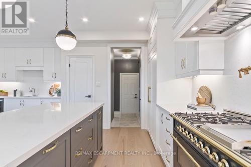 221 Agro Street, Hamilton, ON - Indoor Photo Showing Kitchen With Upgraded Kitchen