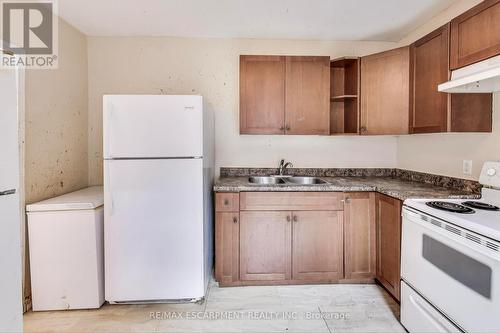 208 East Avenue N, Hamilton, ON - Indoor Photo Showing Kitchen With Double Sink