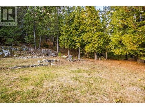 1428 Nighthawk Drive, Castlegar, BC - Outdoor