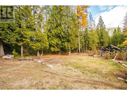 1428 Nighthawk Drive, Castlegar, BC - Outdoor