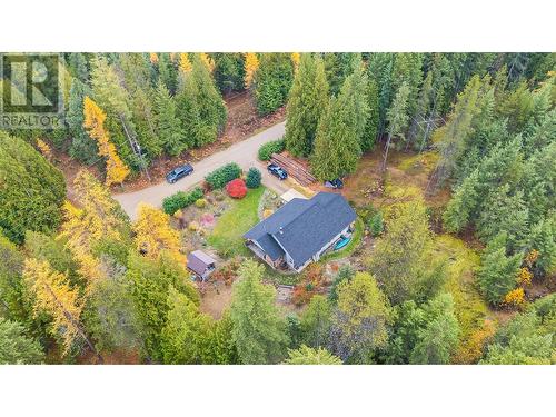 1428 Nighthawk Drive, Castlegar, BC - Outdoor With View