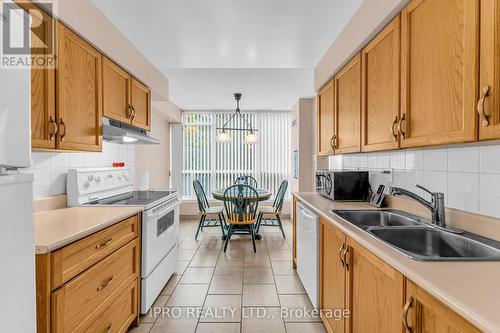 213 - 12 Laurelcrest Street, Brampton, ON - Indoor Photo Showing Kitchen With Double Sink