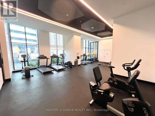 804 - 30 Samuel Wood Way, Toronto, ON - Indoor Photo Showing Gym Room