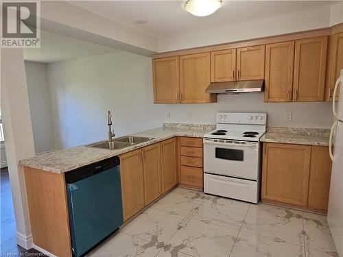 105 Activa Avenue, Kitchener, ON - Indoor Photo Showing Kitchen With Double Sink