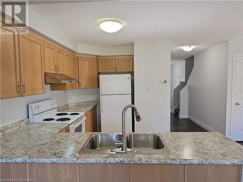 105 Activa Avenue, Kitchener, ON - Indoor Photo Showing Kitchen With Double Sink