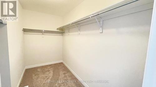 4 Sam Battaglia Crescent, Georgina, ON - Indoor With Storage