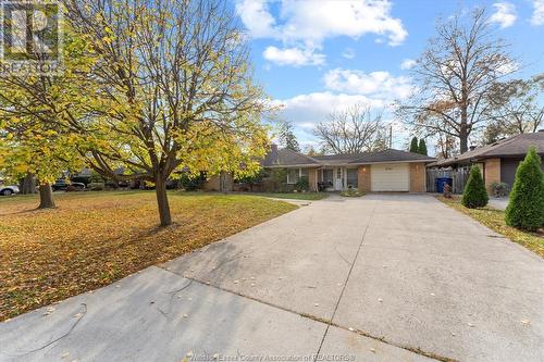 2725 Buckingham Drive, Windsor, ON - Outdoor