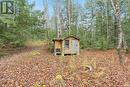 7950 Kings River Road, Ramara, ON 