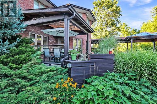 12 Smart Court, Collingwood, ON - Outdoor