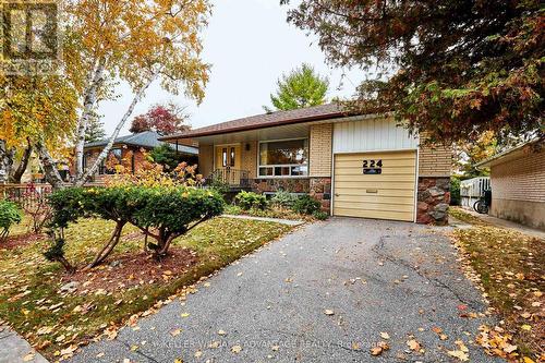 224 Coronation Drive, Toronto, ON - Outdoor With Deck Patio Veranda