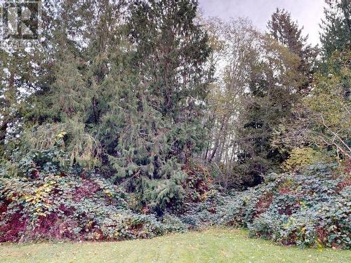 5044 Manson Ave, Powell River, BC - Outdoor