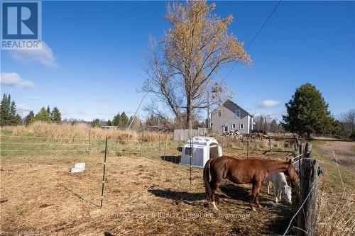 537 Farmers Line, Bonfield, ON - Outdoor