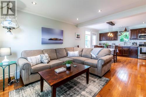 233 Portugal Cove Road, St. John'S, NL - Indoor Photo Showing Living Room