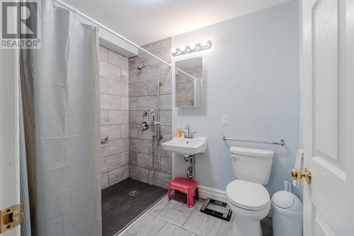 12 Tampa Drive, Conception Bay South, NL - Indoor Photo Showing Bathroom