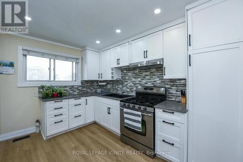 266 Adair Avenue N, Hamilton, ON - Indoor Photo Showing Kitchen With Upgraded Kitchen