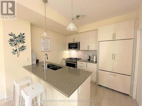 39 - 3 Elsie Lane, Toronto, ON - Indoor Photo Showing Kitchen With Double Sink With Upgraded Kitchen