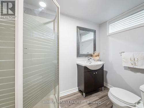 521 Oneida Drive, Burlington, ON - Indoor Photo Showing Bathroom