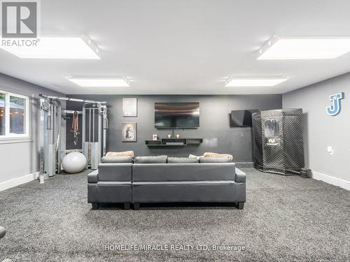 521 Oneida Drive, Burlington, ON - Indoor Photo Showing Basement