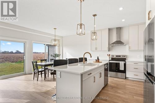 3873 Campbell Street N, London, ON - Indoor Photo Showing Kitchen With Stainless Steel Kitchen With Upgraded Kitchen