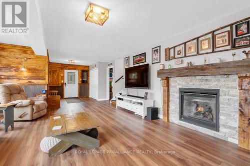 17206 Highway 41, Addington Highlands, ON - Indoor Photo Showing Living Room With Fireplace