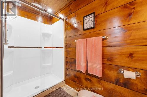 17206 Highway 41, Addington Highlands, ON - Indoor Photo Showing Bathroom