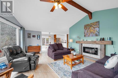 17206 Highway 41, Addington Highlands, ON - Indoor Photo Showing Living Room With Fireplace