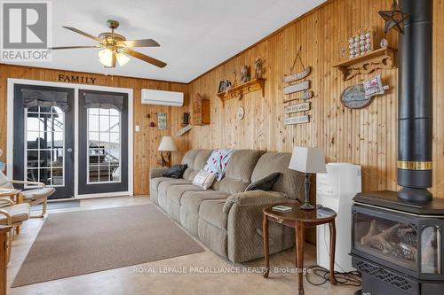 17189 A Highway 41, Addington Highlands, ON - Indoor Photo Showing Living Room With Fireplace